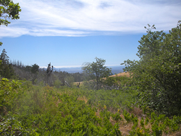 cuyview